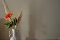 4 room house 177 m² Stopinu pagasts, Latvia