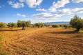 Grundstück 11 558 m² Kassandrino, Griechenland