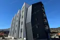 Wohnung 1 Schlafzimmer 46 m² Budva, Montenegro