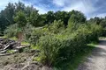 Atterrir  Laumenai, Lituanie