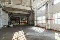 Manufacture 2 066 m² in Viliejka, Belarus