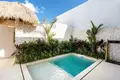 1 bedroom Villa  Pecatu, Indonesia