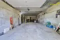 Дом 225 м² Самохваловичский сельский Совет, Беларусь