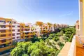 Apartment  Torrevieja, Spain