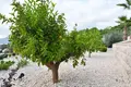 Willa 4 pokoi 280 m² Tivat, Czarnogóra
