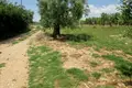 Land 1 room 5 338 m² Polygyros Municipality, Greece