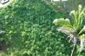 3 bedroom house 244 m² West End, Honduras