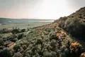 Отель 55 м² Пиран, Словения