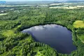 Działki  Petrauskai, Litwa