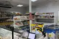 Geschäft 113 m² Minojty, Belarus