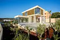 Вилла 3 спальни 250 м² Рогозница, Хорватия