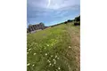 Land 5 832 m² Opcina Barban, Croatia