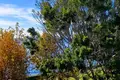 Appartement 49 m² Dos Hermanas, Espagne