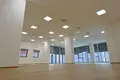 Gewerbefläche  in Podgorica, Montenegro
