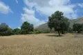 Land 1 room 45 000 m² Eretria Municipality, Greece