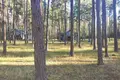 Gewerbefläche 1 455 m² Syckava, Belarus