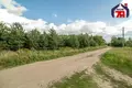 House 65 m² Miasata, Belarus