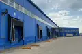 Warehouse 4 390 m² in Perepecino, Russia