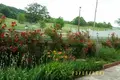 Dom 11 pokojów 450 m² Dusheti Municipality, Gruzja