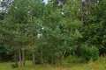 Ferienhaus 306 m² Kalodziscanski sielski Saviet, Belarus