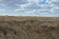 Atterrir  Sukhyi Lyman, Ukraine
