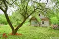 Działki  Miazanski sielski Saviet, Białoruś