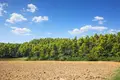 Land 4 500 m² Kassandrino, Greece