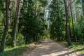 Grundstück  Uzdzienski sielski Saviet, Belarus