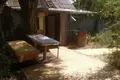 Земельные участки 1 комната 50 м² Грибовка, Украина