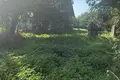 Haus 50 m² Dzitvianski sielski Saviet, Belarus