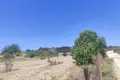 Land  Anogyra, Cyprus