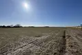 Parcelas 7 500 m² Siekierki Male, Polonia