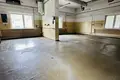 Commercial property 13 rooms 880 m² in Lazy, Poland