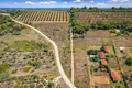 Atterrir 4 062 m² Kassandrino, Grèce