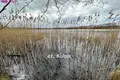 Atterrir  Selioviskes, Lituanie