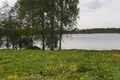 Land  Isnaudas pagasts, Latvia