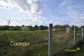 Дом 28 м² Голоцкий сельский Совет, Беларусь