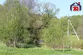 Haus 70 m² Alieksycy, Belarus