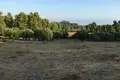 Земельные участки 1 комната  Kassandra Municipality, Греция