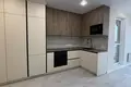 1 room apartment 28 m² Minsk, Belarus