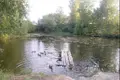 Grundstück  Radaskovicki sielski Saviet, Belarus