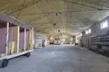 Manufacture 3 500 m² in Filipow, Poland