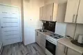 Wohnung 2 zimmer 53 m² Lida, Belarus