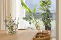 3 bedroom apartment 247 m² San Pedro Alcantara, Spain