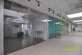 Commercial property 24 m² in Minsk, Belarus