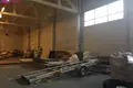 Commercial property 6 922 m² in Kretinga, Lithuania