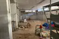 Коммерческое помещение 572 м² La Mata, Испания
