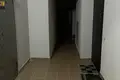 Wohnung 2 zimmer 66 m² Viazan, Belarus