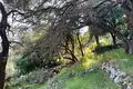 Земельные участки 1 комната  Палеокастрица, Греция