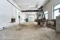 Commercial property 569 m² in Zialiony Bor, Belarus